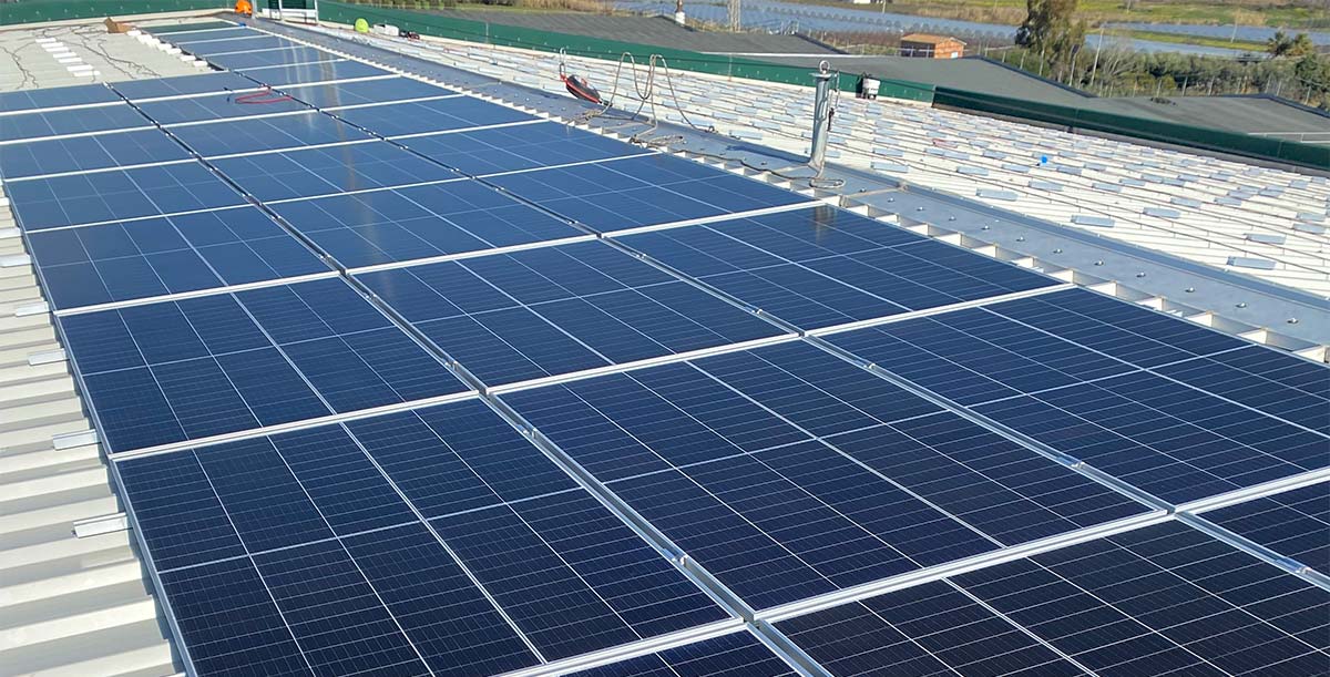 impianto-fotovoltaico-techin-rettangolare